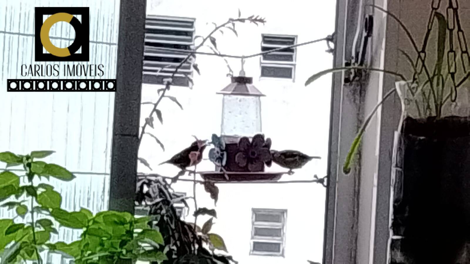 Apartamento, 1 quarto, 67 m² - Foto 3