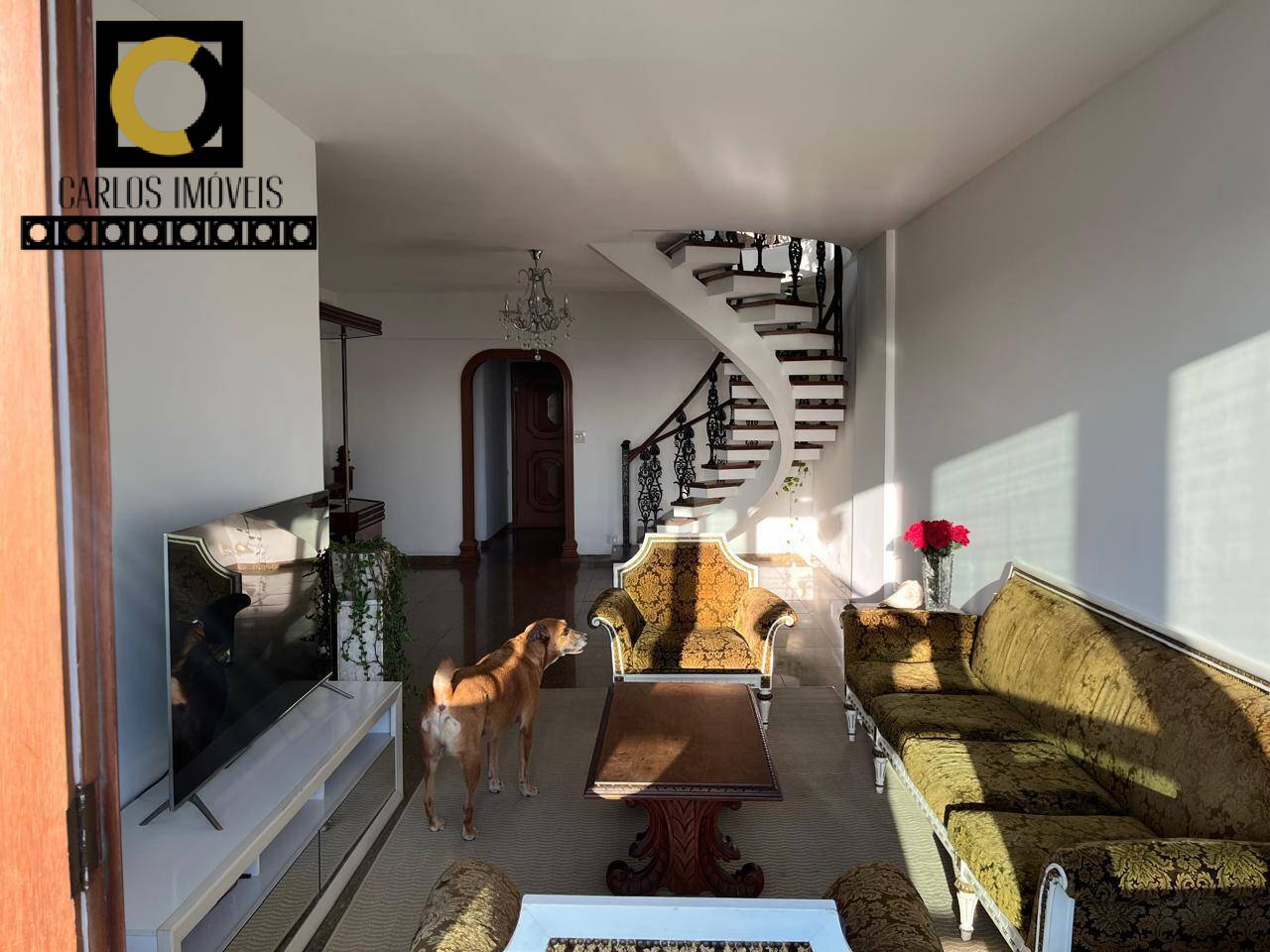 Apartamento, 4 quartos, 356 m² - Foto 5